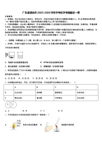 广东省清远市2025-2026学年中考化学考前最后一卷（含答案解析）