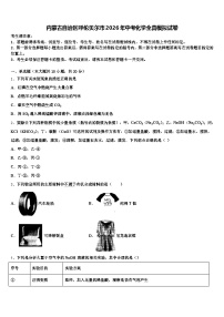 内蒙古自治区呼伦贝尔市2026年中考化学全真模拟试卷（含答案解析）
