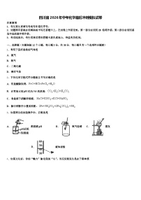 四川省2026年中考化学最后冲刺模拟试卷（含答案解析）