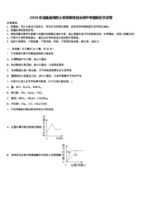 2026年湖南省湘西土家族苗族自治州中考猜题化学试卷（含答案解析）