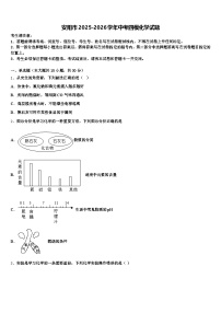 安阳市2025-2026学年中考四模化学试题（含答案解析）