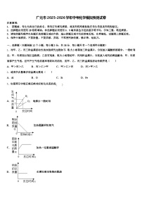 广元市2025-2026学年中考化学模拟预测试卷（含答案解析）