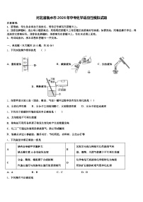 河北省衡水市2026年中考化学适应性模拟试题（含答案解析）