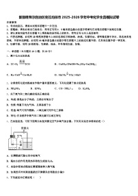新疆维吾尔自治区克拉玛依市2025-2026学年中考化学全真模拟试卷（含答案解析）