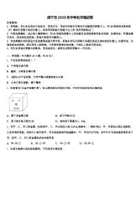 咸宁市2026年中考化学模试卷（含答案解析）