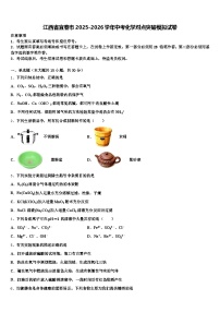 江西省宜春市2025-2026学年中考化学对点突破模拟试卷（含答案解析）