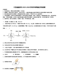 江苏省南京市2025-2026学年中考押题化学预测卷（含答案解析）