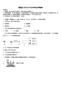 海南省三沙市2026年中考化学押题卷（含答案解析）