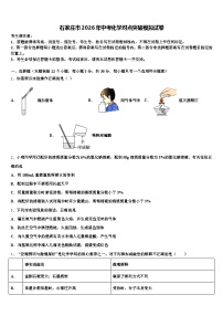 石家庄市2026年中考化学对点突破模拟试卷（含答案解析）