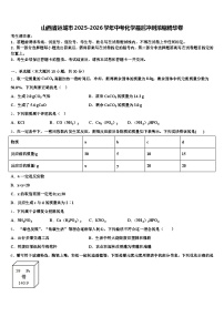 山西省运城市2025-2026学年中考化学最后冲刺浓缩精华卷（含答案解析）