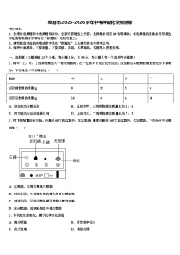 阜阳市2025-2026学年中考押题化学预测卷（含答案解析）