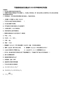 宁夏回族自治区石嘴山市2026年中考联考化学试题（含答案解析）