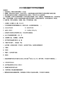 2026年四川省遂宁市中考化学猜题卷（含答案解析）