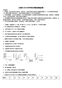 庆阳市2026年中考化学模拟精编试卷（含答案解析）