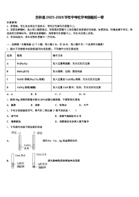 吉林省2025-2026学年中考化学考前最后一卷（含答案解析）