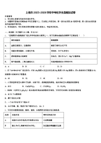 上海市2025-2026学年中考化学全真模拟试卷（含答案解析）