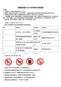 甘肃省武威市2026年中考化学五模试卷（含答案解析）