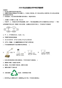 2026年山东省烟台市中考化学猜题卷（含答案解析）