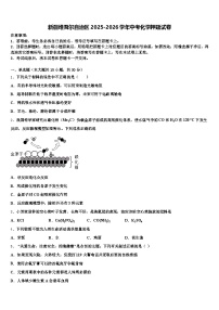 新疆维吾尔自治区2025-2026学年中考化学押题试卷（含答案解析）