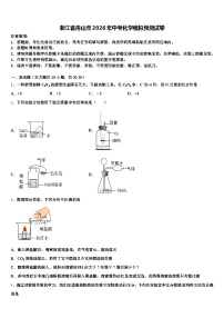 浙江省舟山市2026年中考化学模拟预测试卷（含答案解析）
