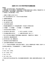 运城市2025-2026学年中考化学全真模拟试题（含答案解析）