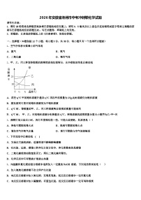 2026年安徽省池州市中考冲刺卷化学试题（含答案解析）