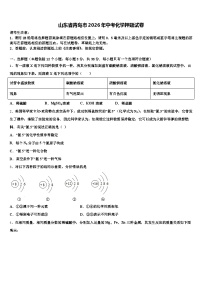 山东省青岛市2026年中考化学押题试卷（含答案解析）