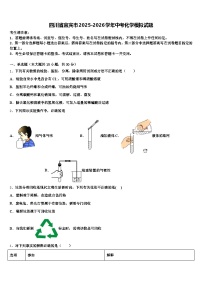 四川省宜宾市2025-2026学年中考化学模拟试题（含答案解析）