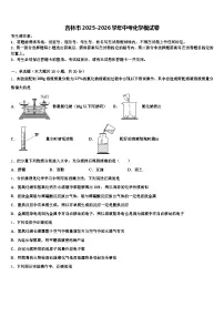 吉林市2025-2026学年中考化学模试卷（含答案解析）