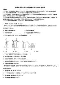 福建省漳州市2026年中考适应性考试化学试题（含答案解析）