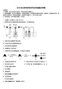 2026年大连市初中化学毕业考试模拟冲刺卷（含答案解析）