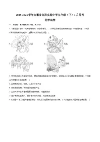 2025-2026学年安徽省阜阳实验中学九年级（下）月考化学试卷（3月份）（含答案）