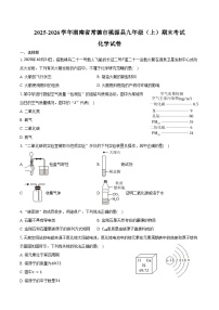 2025-2026学年湖南省常德市桃源县九年级（上）期末化学试卷（含答案）