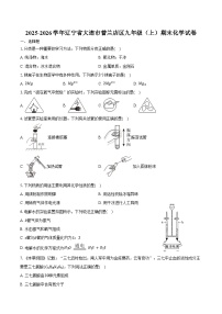 2025-2026学年辽宁省大连市普兰店区九年级（上）期末化学试卷（含答案）