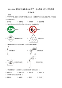 2025-2026学年辽宁省盘锦市双台子一中九年级（下）开学化学试卷（含答案）