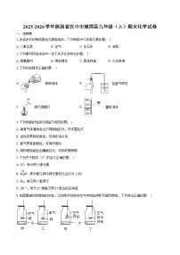 2025-2026学年陕西省汉中市城固县九年级（上）期末化学试卷（含答案）