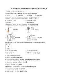 2026年湖北武汉市部分学校中考第一次模拟化学试卷