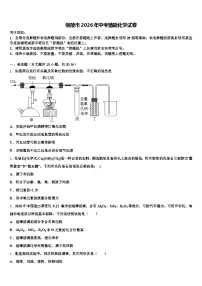 铜陵市2026年中考猜题化学试卷（含答案解析）