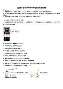 山西省长治市2026年中考化学全真模拟试卷（含答案解析）
