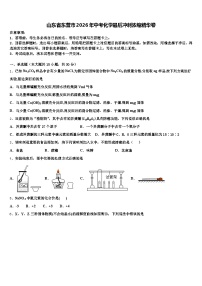 山东省东营市2026年中考化学最后冲刺浓缩精华卷（含答案解析）