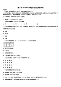 湛江市2026年中考化学适应性模拟试题（含答案解析）