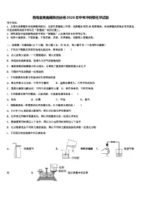 青海省黄南藏族自治州2026年中考冲刺卷化学试题（含答案解析）