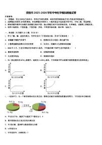 资阳市2025-2026学年中考化学模拟精编试卷（含答案解析）