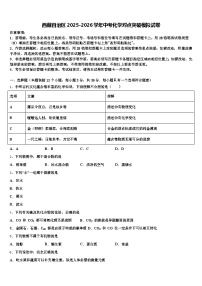 西藏自治区2025-2026学年中考化学对点突破模拟试卷（含答案解析）