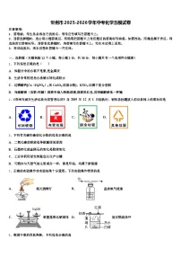 忻州市2025-2026学年中考化学五模试卷（含答案解析）