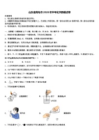 山东省青岛市2026年中考化学四模试卷（含答案解析）