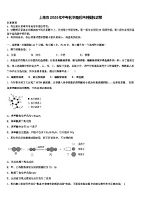 上海市2026年中考化学最后冲刺模拟试卷（含答案解析）