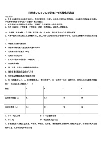 日照市2025-2026学年中考五模化学试题（含答案解析）