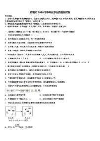 邵阳市2026年中考化学全真模拟试题（含答案解析）