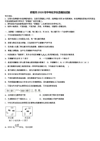 邵阳市2026年中考化学全真模拟试题（含答案解析）